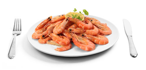 Shrimp