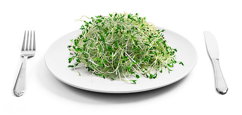 Sprouts