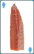 Fillet option 1 for question 2