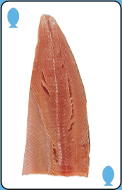 Fillet option 2 for question 2