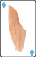 Fillet option 1 for question 4