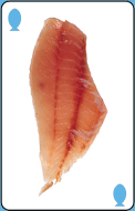 Fillet option 1 for question 5