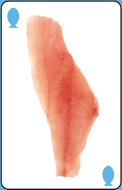 Fillet option 2 for question 5